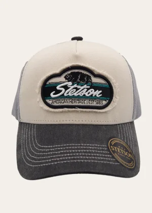 Stetson Trucker Bison Grey
